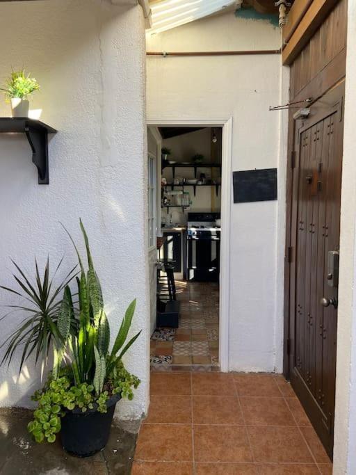 Jaguar Studio Tijuana Exterior foto